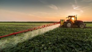 Governo estuda mudar seguro agropecuário