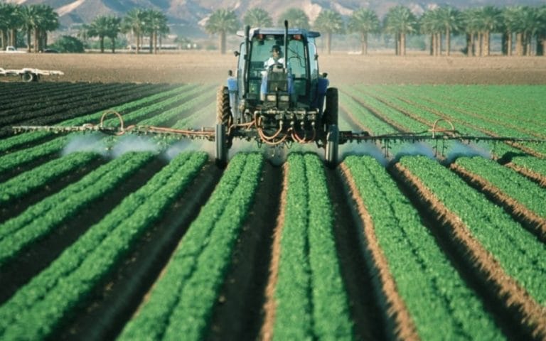 Subsídios para seguro safra podem atingir índices surpreendentes em 2020