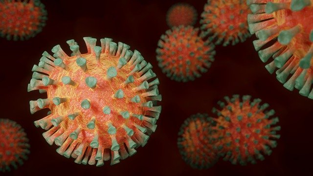 Coronavírus aumenta procura por seguro de vida