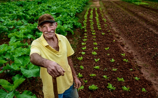Seguro Rural MAPFRE registra bom desempenho no primeiro trimestre