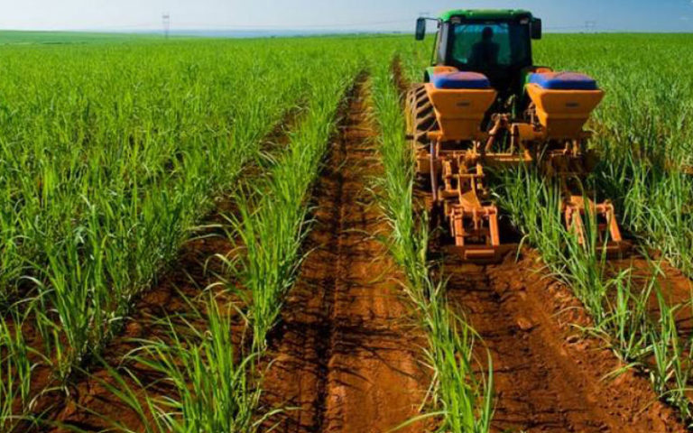 Swiss Re Corporate Solutions investe no segmento de agronegócios