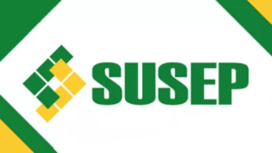 Susep divulga síntese mensal com dados do setor em novembro