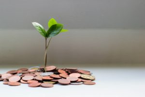 Educação financeira: Omint aponta cinco dicas para investir em um seguro de vida ainda jovem