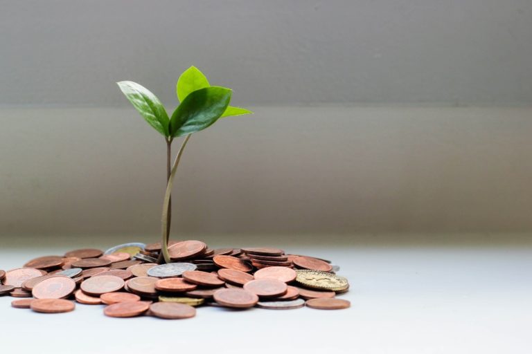 Educação financeira: Omint aponta cinco dicas para investir em um seguro de vida ainda jovem