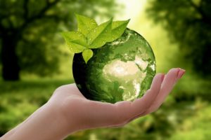 Agronegócio sustentável impulsiona o seguro rural