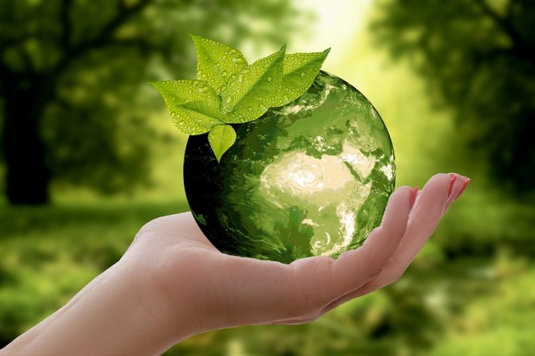 Agronegócio sustentável impulsiona o seguro rural
