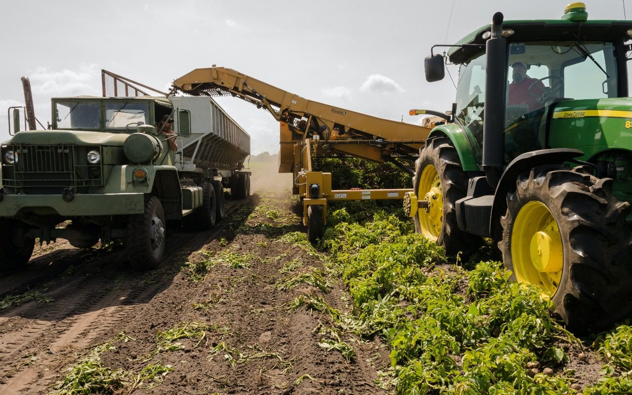 Primeiro webinar do CIST no ano debaterá a ‘logística no agronegócio’ e promoverá ação social