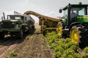 Primeiro webinar do CIST no ano debaterá a ‘logística no agronegócio’ e promoverá ação social