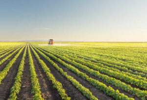 O Seguro é um alicerce para a continuidade do agronegócio