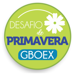 GBOEX premia corretores no Desafio de Primavera
