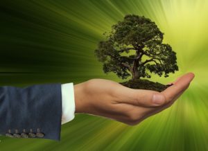 Mercado de seguros deverá respeitar novos requisitos de sustentabilidade