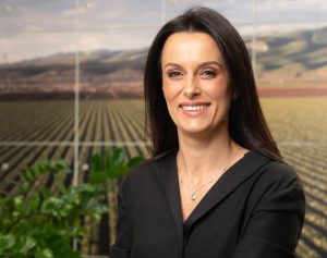 Artigo - Os valores fundamentais para o sucesso da JDT Seguros