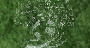Wiz divulga Relatório de Sustentabilidade e fortalece compromisso com metas ESG