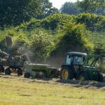 Estiagem gera sinistros e recusas de pagamentos de indenizações para produtores do seguro rural