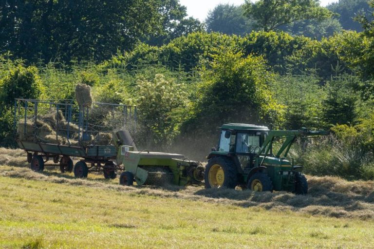 Estiagem gera sinistros e recusas de pagamentos de indenizações para produtores do seguro rural