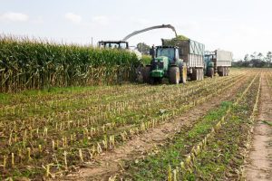 Wiz Parceiros amplia venda de consórcio de pesados para o agronegócio