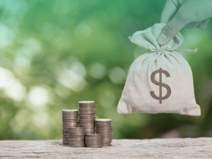 Setor de seguros arrecadou R$ 351,04 bilhões até novembro de 2023