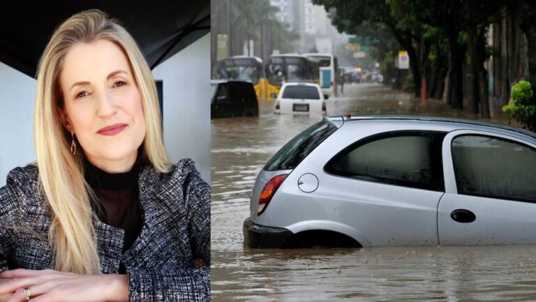 Christiane Furck participa de evento sobre os impactos das enchentes no RS no setor de seguros
