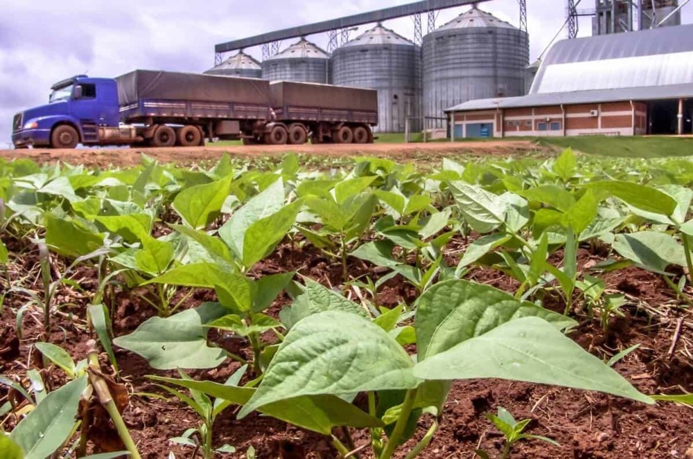 Mudanças climáticas e baixa cobertura de seguro elevam risco do setor agrícola no país