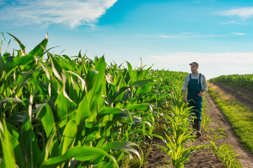 Alper Seguros e Cooprosoja firmam parceria para blindar patrimônio de produtores rurais