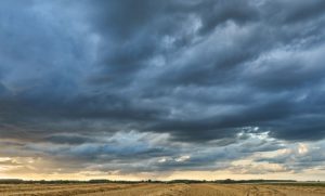 Eventos climáticos extremos sob efeito do El Niño reposicionam o seguro no Brasil