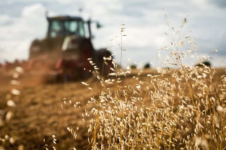 FenSeg cobra alternativas do governo para fortalecer o seguro rural